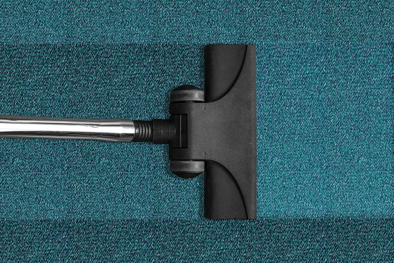 carpet shampoo vs steam cleaning